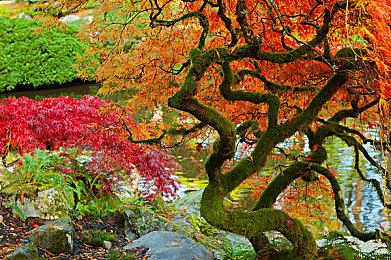 《博德之门3》庆祝TGA八项提名 Xbox版发售日期即将公布